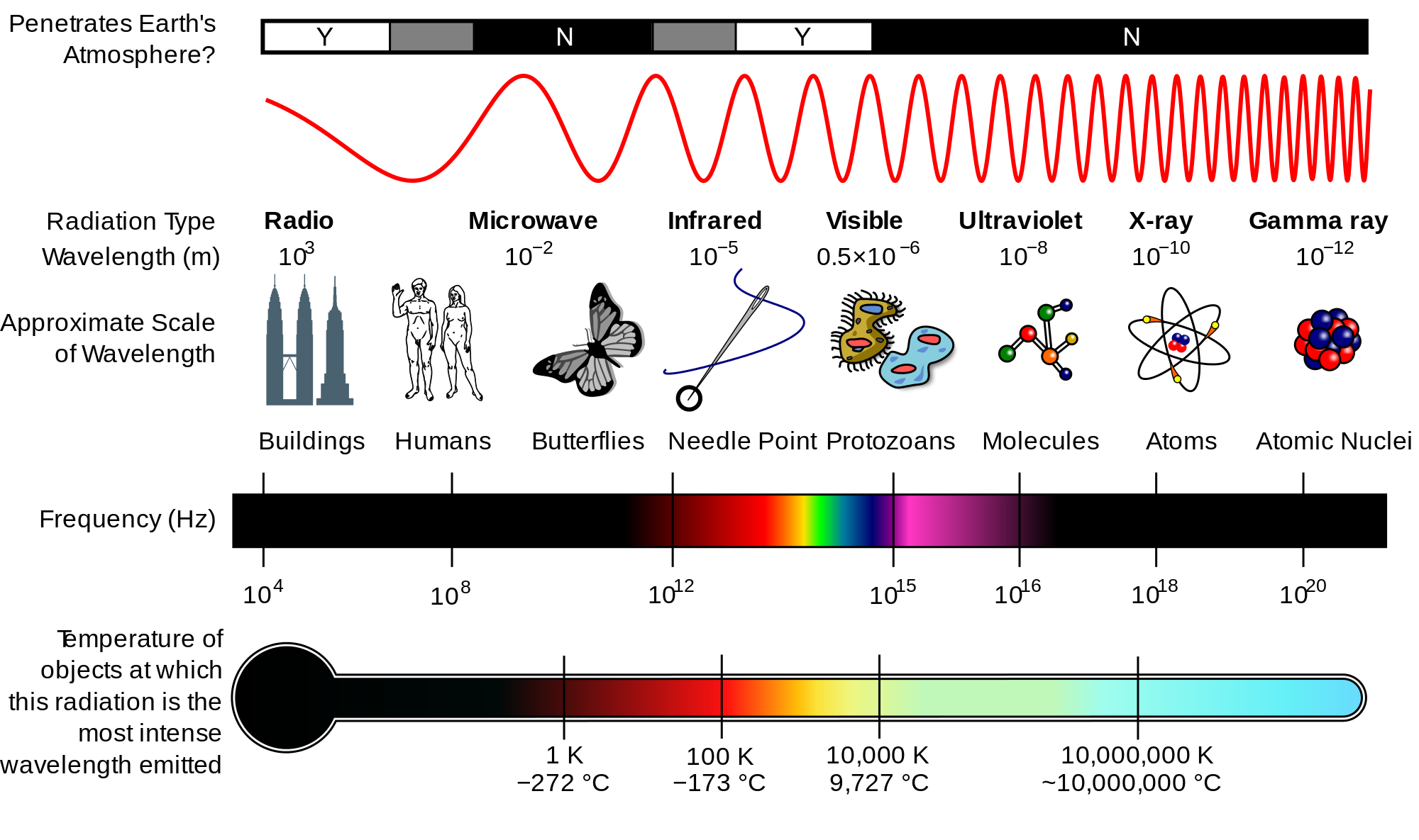 The electromagnetic spectrum is the range of all types of electromagnetic radiation, based on wavelength. 